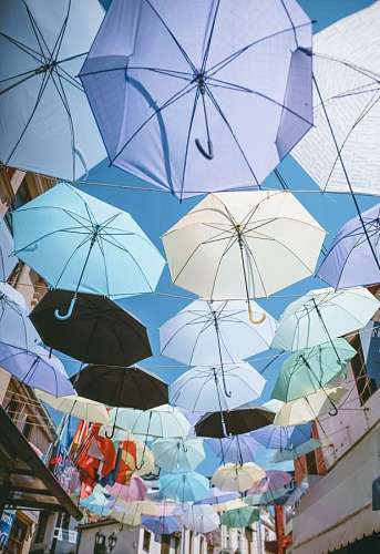 roo guarda-chuva
