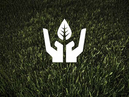 sustentabilidade Ecologia e Meio Ambiente