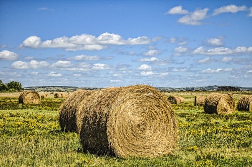 uruguai Pacote no campo de Garzon, Uruguai