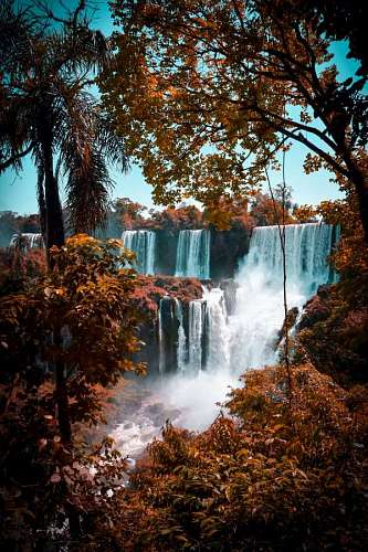 cachoeira 