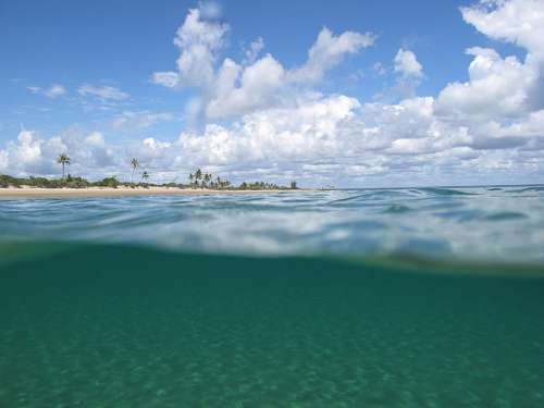 caraibas Caraíbas