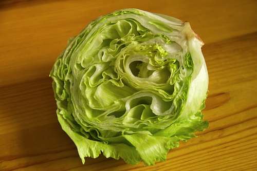devido Alface