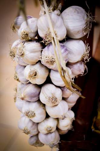 verdura Corda de alho
