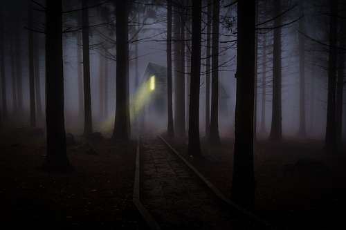 Misteriosa casa na floresta