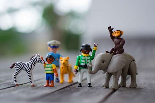 zebra Brinquedos
