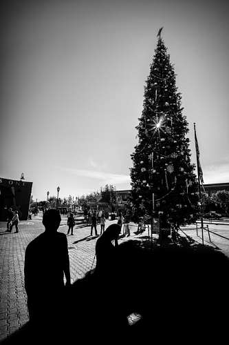 Árvore de Natal