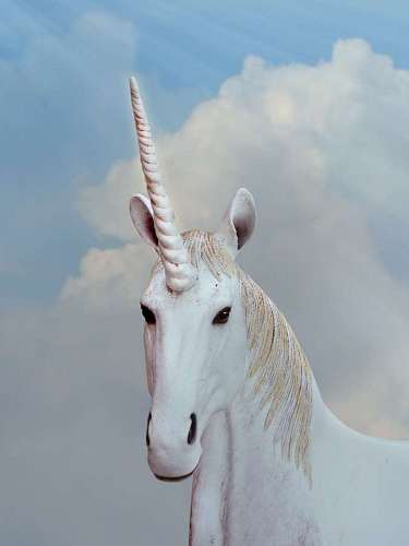 Close-up de unicórnio branco