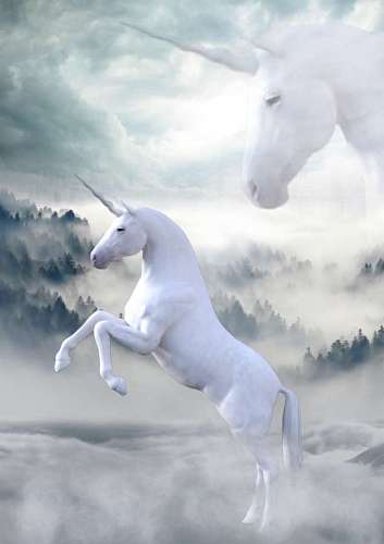 unicornios de coloracao Unicórnios reais