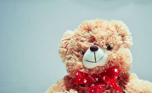 Urso de pelúcia