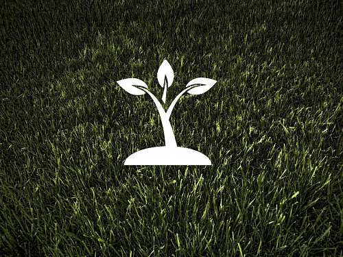 sustentabilidade Ecologia e Meio Ambiente