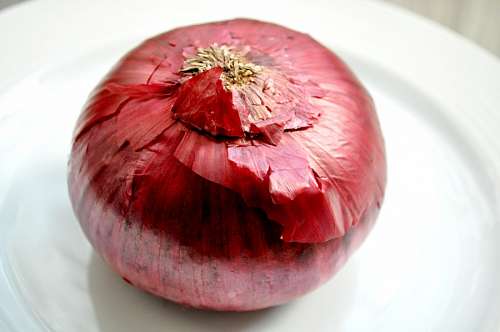 cebola roxa Cebola vermelha
