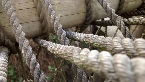 agarrando corda, cordas, corda, força, madeira, tronco, agarrar