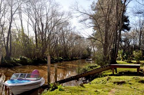 Tigre, delta