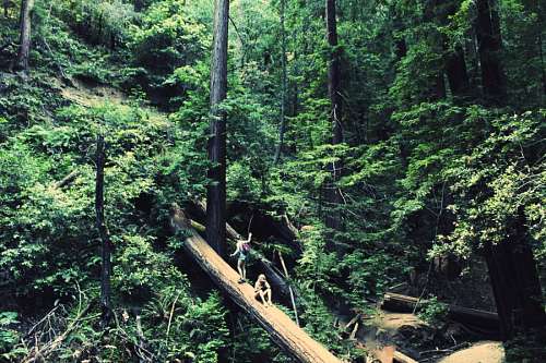 naturaleza 