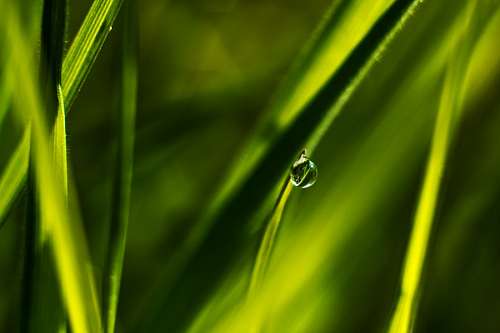 Drop