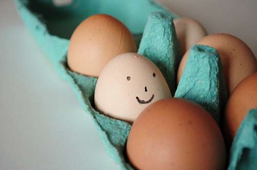 alegria, felicidade, rosto, sorriso, ovo, ovos,