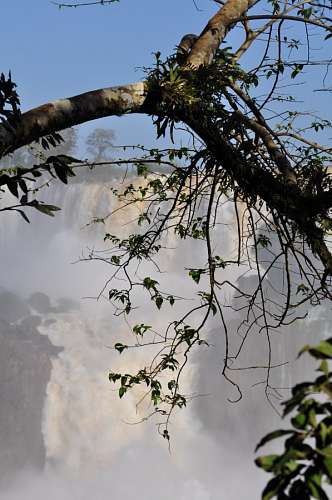Cataratas do Iguaçu