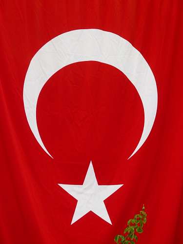 Bandeira da turquia