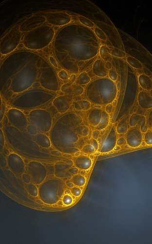 fractal Celular