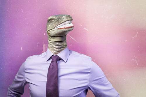 lagarto 
