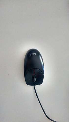 Mouse