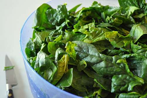 salada, tigela, interior, verde, espinafre, saudações