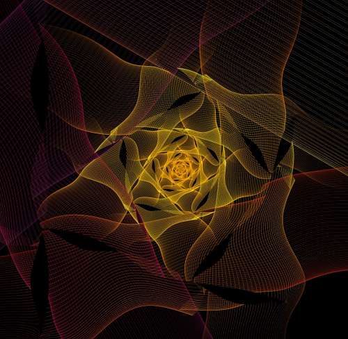 fractal Fractals