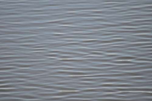 Textura da água