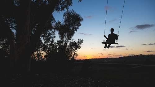 Swing