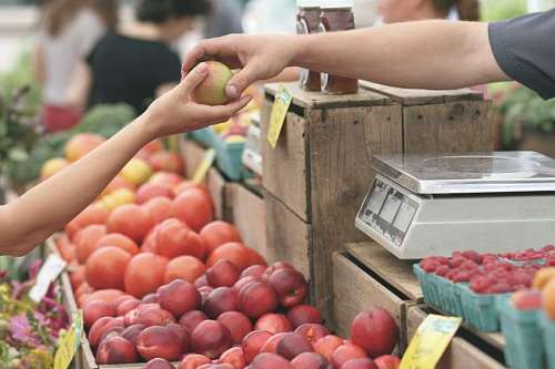 escolha Uma pessoa que compra frutas frescas em um mercado