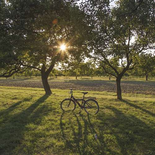 Bicicleta no campo ao pôr do sol