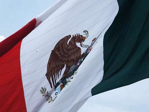 mexicano Detalhe da bandeira do México