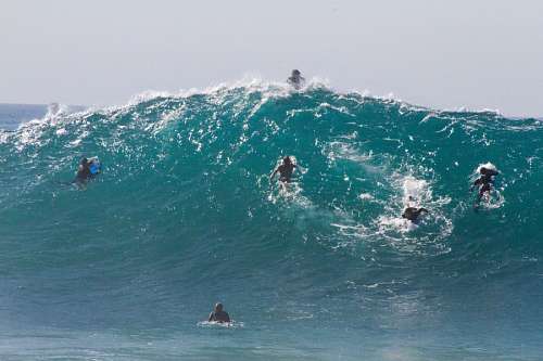 Surf