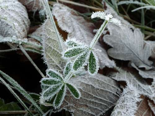 Inverno
