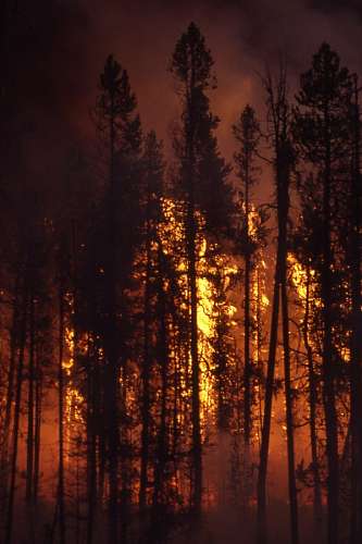 incendio Incêndio florestal