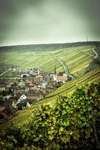 principal Nordheim am Main