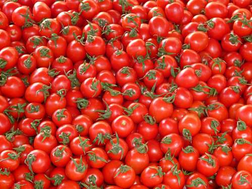 Tomates cereja