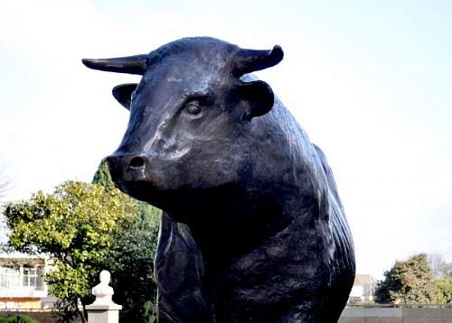 osorno