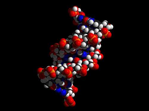 proteina DNA