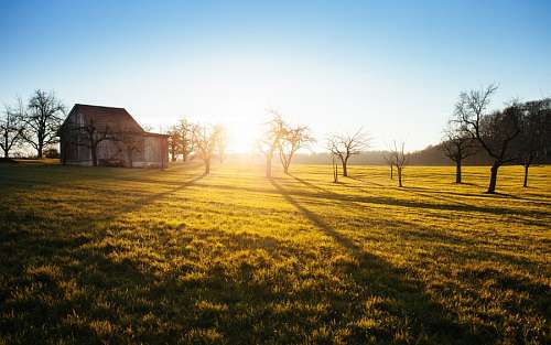 madrugada Fazenda