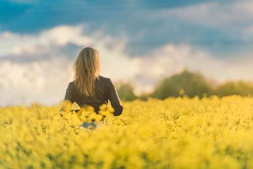 ed gregory Mulher, em, um, campo, de, amarelo floresce