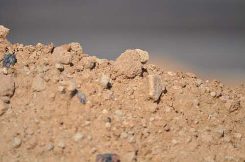 Terra seca