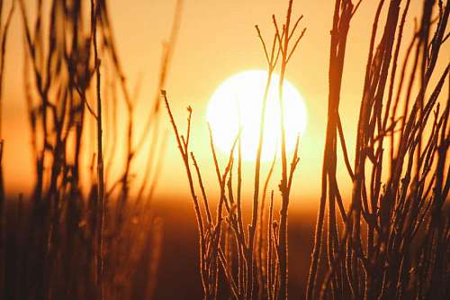 Pôr do sol no campo