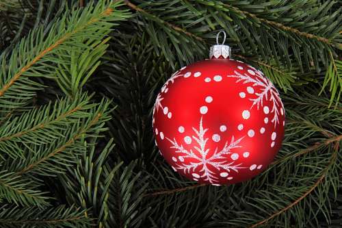 Natal