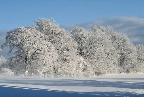 Paisagem de inverno