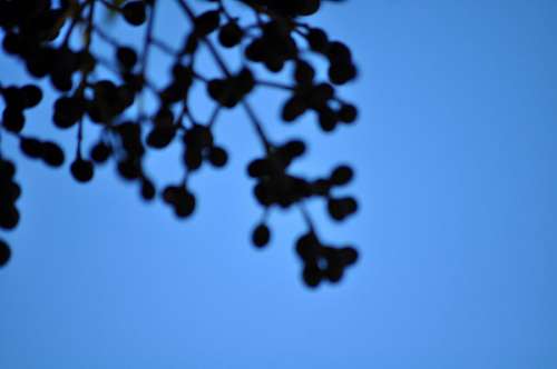 Fundo azul claro