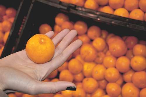 verdura Mão de uma mulher segurando uma laranja
