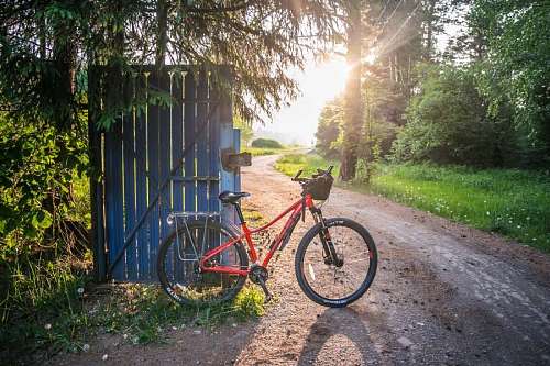 bicicleta descansando na estrada com bela paisagem de floresta ensolarada