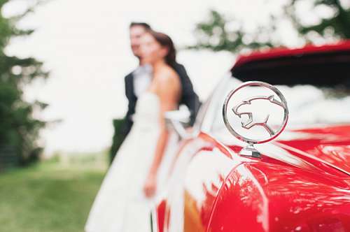 cracha Jaguar, com, par casando, em, fundo