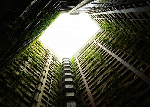 urban landscape 